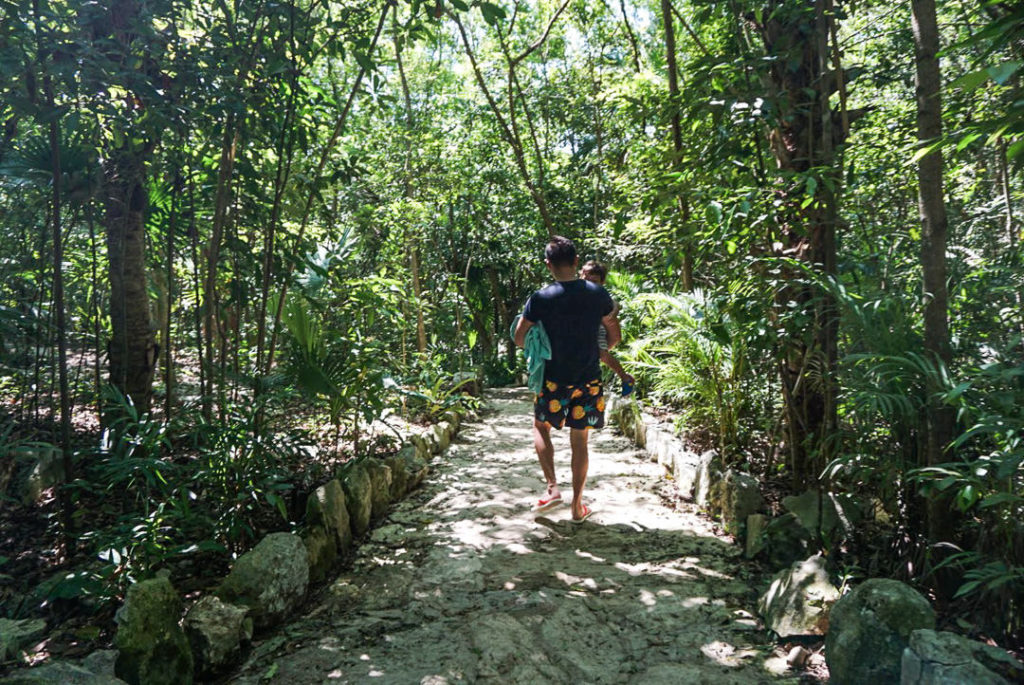 Dad holding toddler walking through Cenote Azul stone path through jungle trees