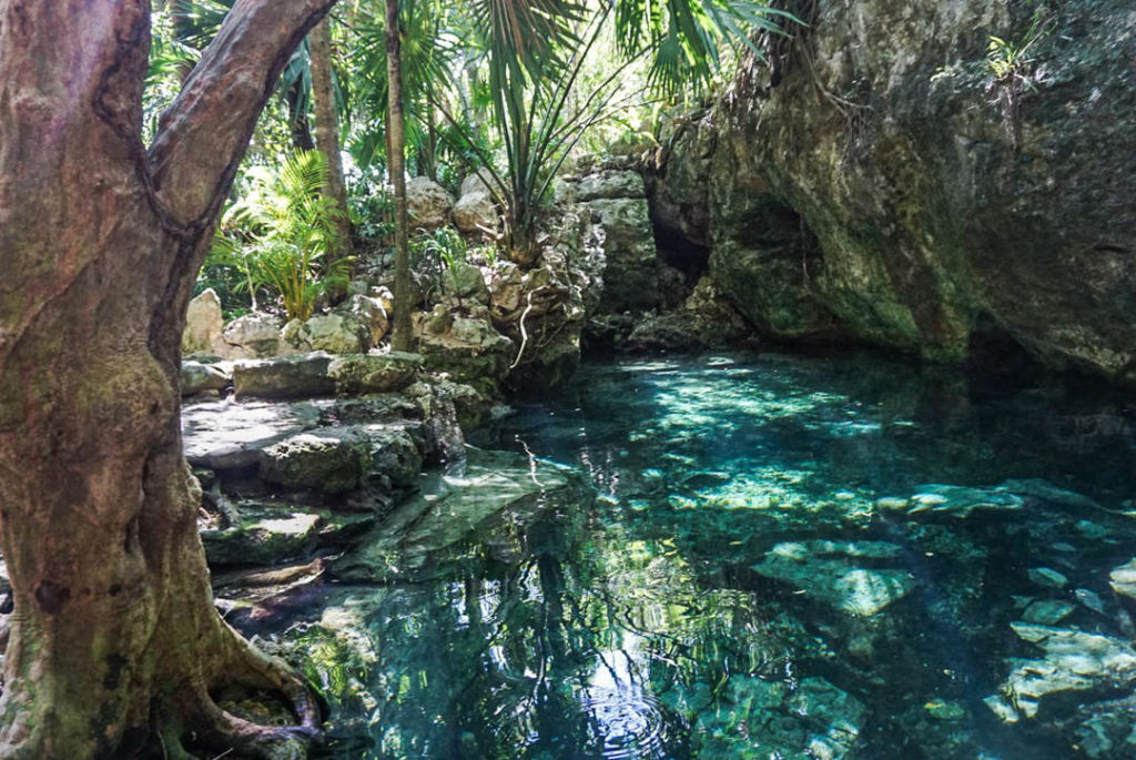 Mini pool at Cenote Azul