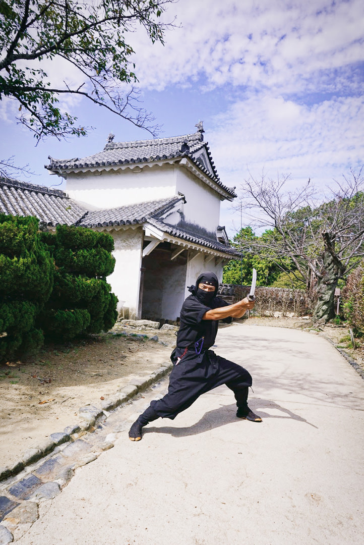 Best Day Trips from Osaka with Kids (By Train!)