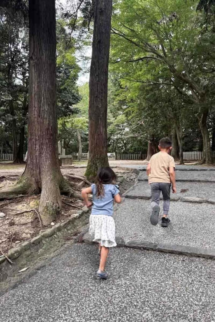 A toddler and her brother walk up a tree-lined path with shallow steps in a wooded area of Nara Park, with tall cedars and greenery all around. 