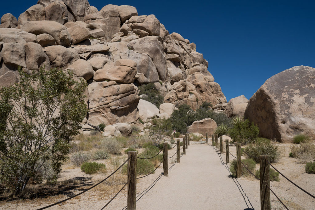 Joshua Tree boulders hiking trail - family travel tips during covid