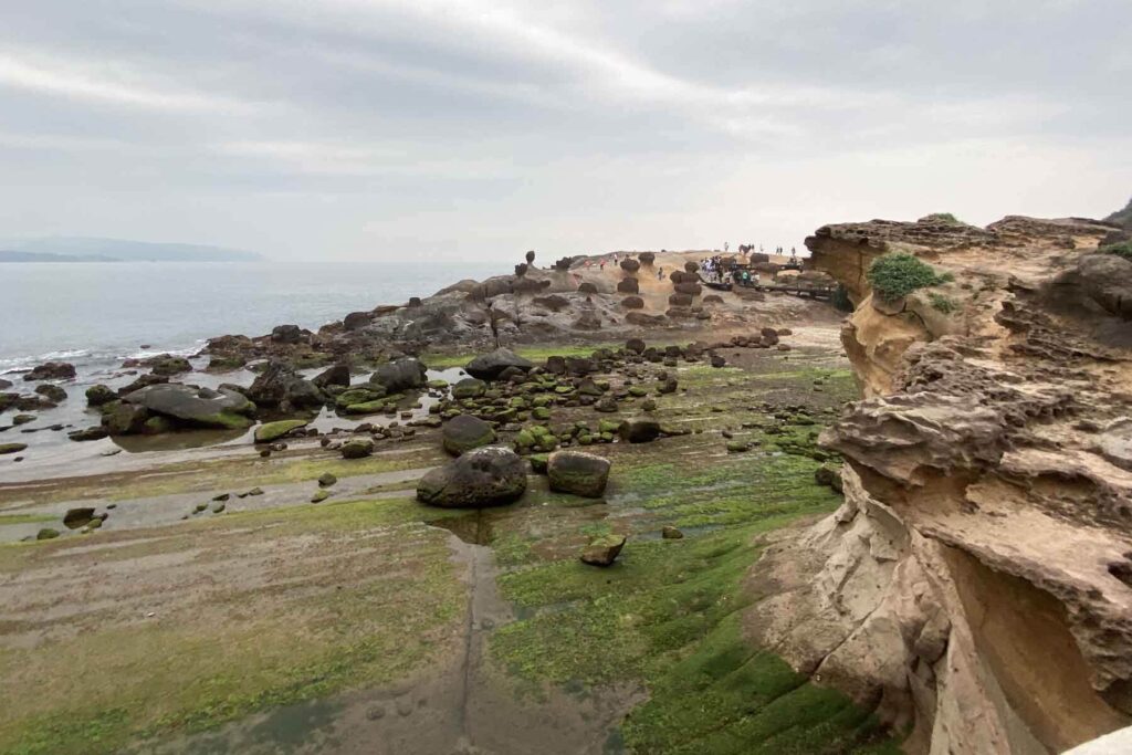 Coastal rock formations at Yehliu Geopark in Taiwan are covered in green moss and algae at low tide, with tourists visible in the distance near the ocean.