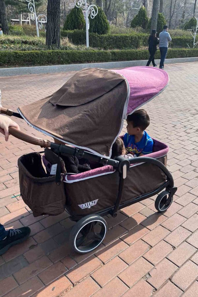 Two children sit inside a brown and purple Keenz stroller wagon being pushed along a brick pathway in the Children’s Grand park lined with trees and trimmed bushes.
