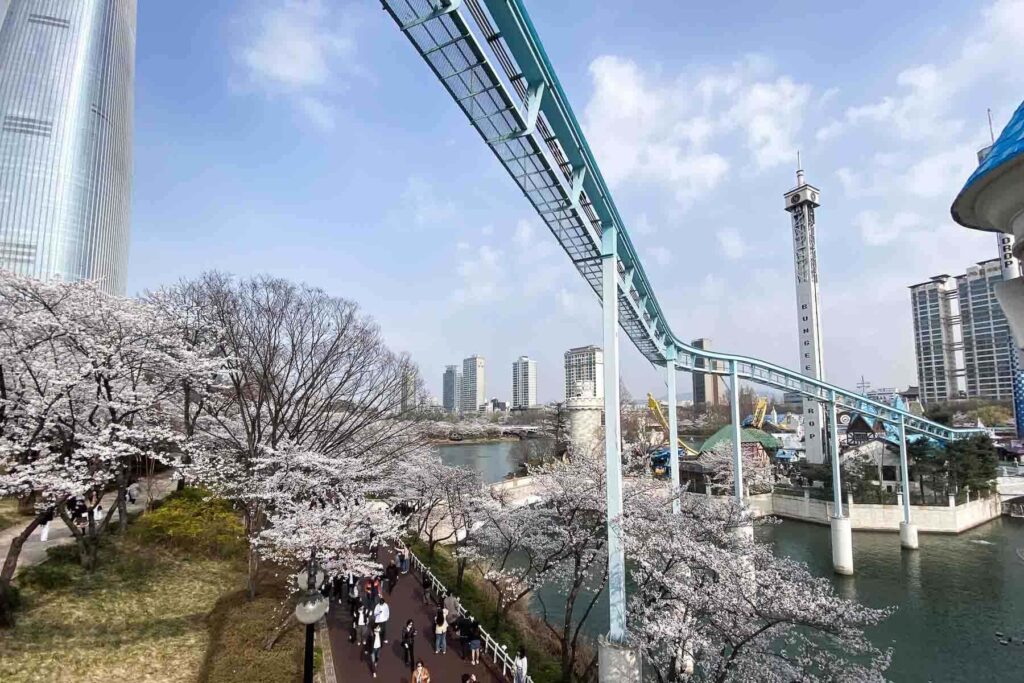 A scenic path lined with cherry blossom trees in full bloom beside a lake, with people walking under a ride track at Lotte World and modern city buildings in the distance in Seoul.