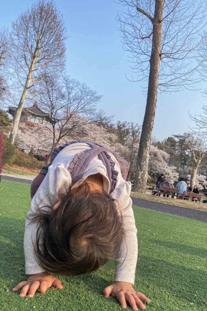 A toddler plays on a patch of green turf, bent over with head down and hands on the ground in a yoga-like pose, with blooming cherry blossom trees and a traditional Korean pavilion in the background at the Children’s Grand Park in Seoul.