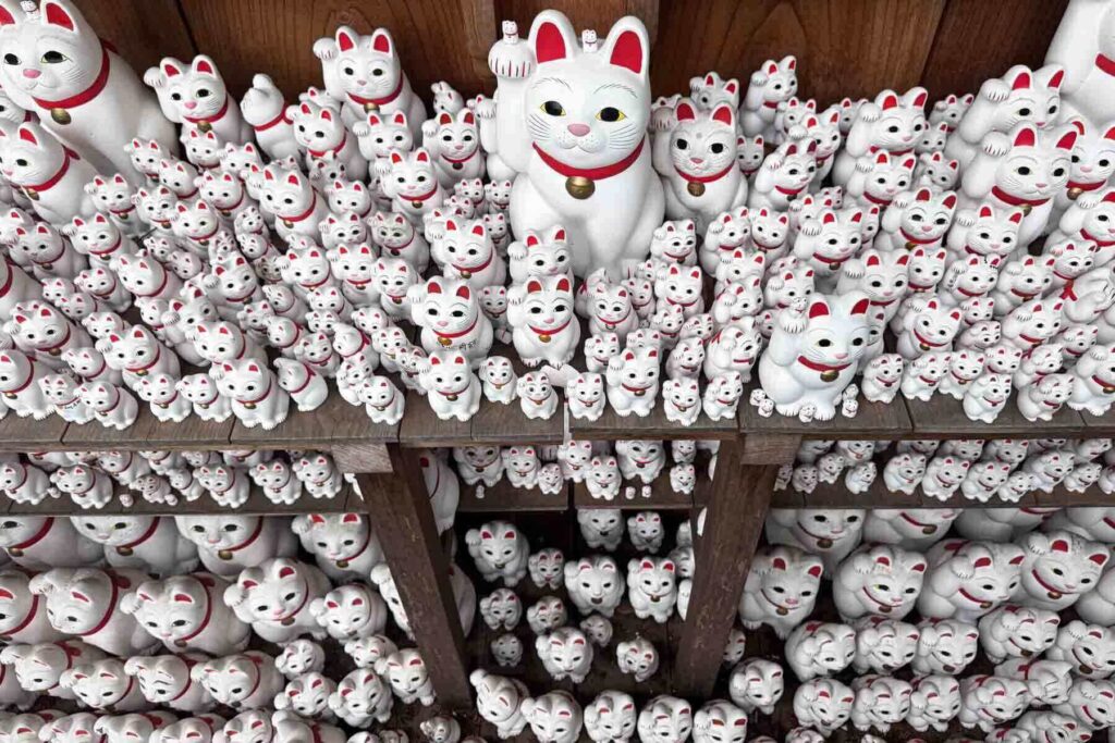 Hundreds of white lucky cat figurines with raised paws line the wooden shelves at Gotokuji Temple in Tokyo, Japan. A free thing to do in Tokyo with kids that combines local culture and whimsical charm.