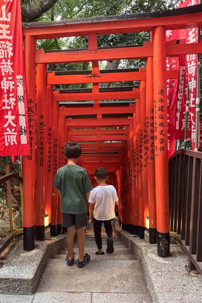 Two elementary-aged boys walk down stone steps under a tunnel of vivid red torii gates at the Tokyo Hie Shrine.