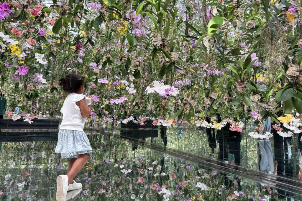A little girl steps into a mirrored space filled with hanging orchids and colorful floating flowers at TeamLab Planets Tokyo. A beautiful and sensory-rich activity that’s perfect when visiting Tokyo with kids.