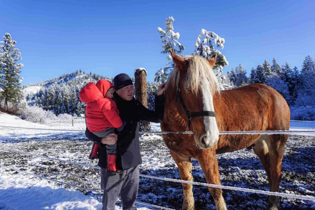 A father holding a toddler in a red puffy winter coat pets a large brown horse in a snowy mountain setting with pine trees and clear blue skies in Leavenworth, Washington.