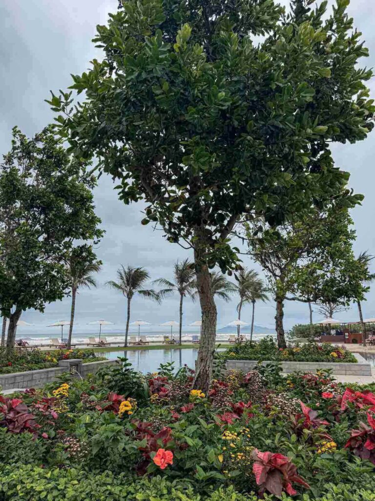 View through lush tropical landscaping with colorful flowers and palm trees framing a pool and beach loungers near the ocean at Hyatt Regency Da Nang Resort.