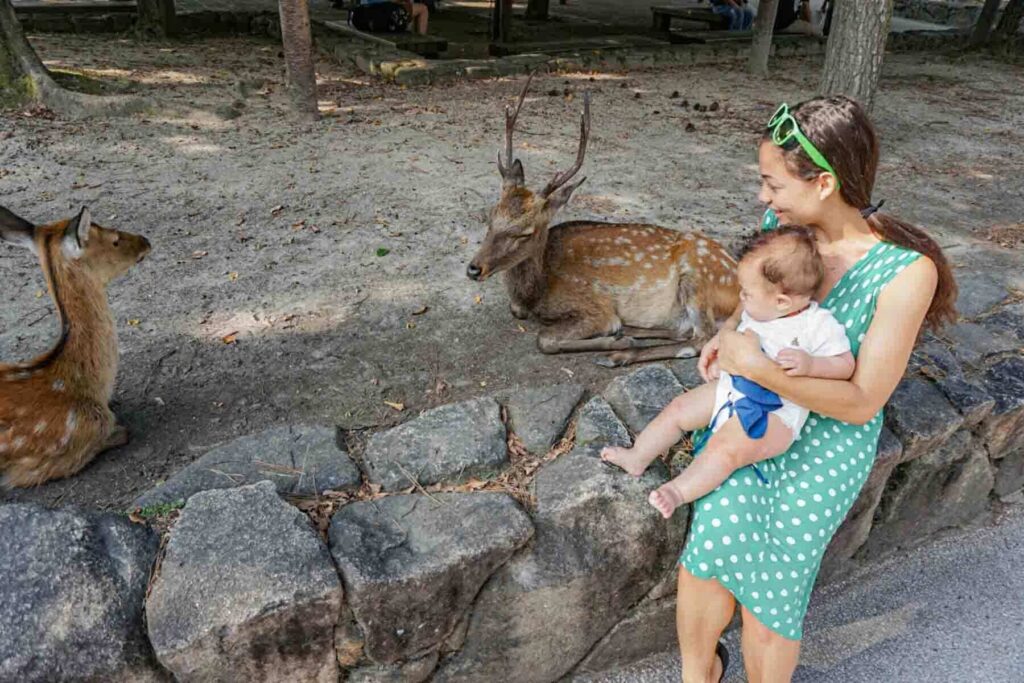 Mother in polka dot dress holding a baby while sitting near deer on Miyajima Island, Japan. 