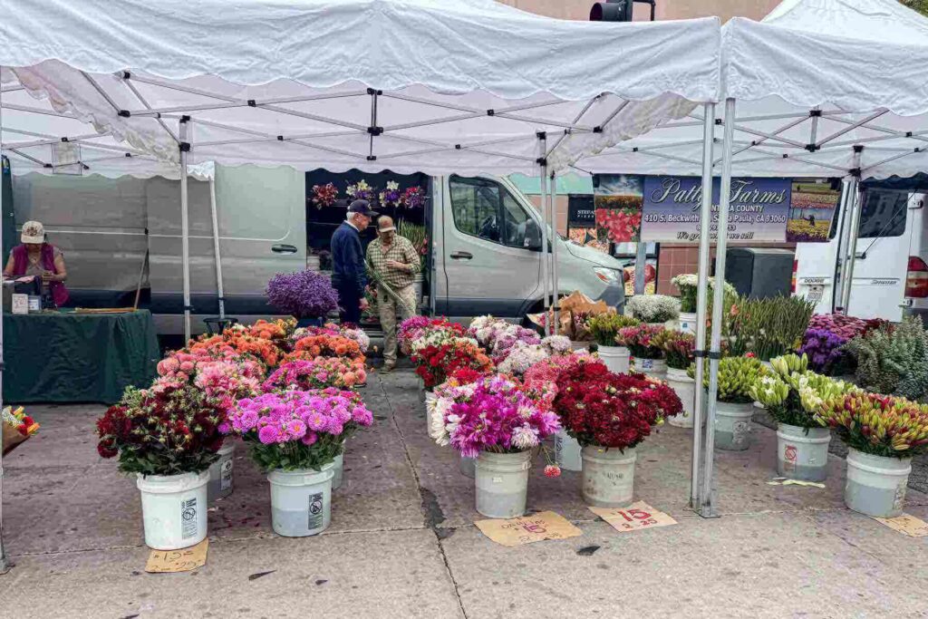 Buckets of colorful fresh flowers under white canopy tents at a Saturday Santa Monica farmers market.