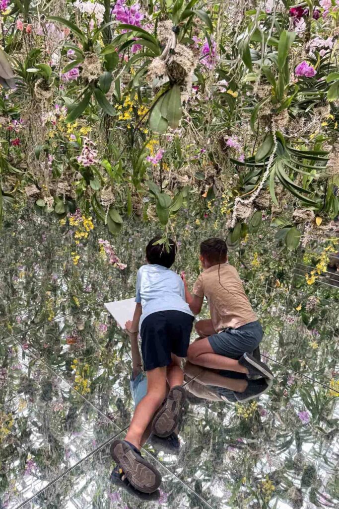 Two children kneel on a mirrored floor beneath hanging orchid flowers inside a TeamLab exhibit in Tokyo. Immersive art spaces like this are a big hit with kids.