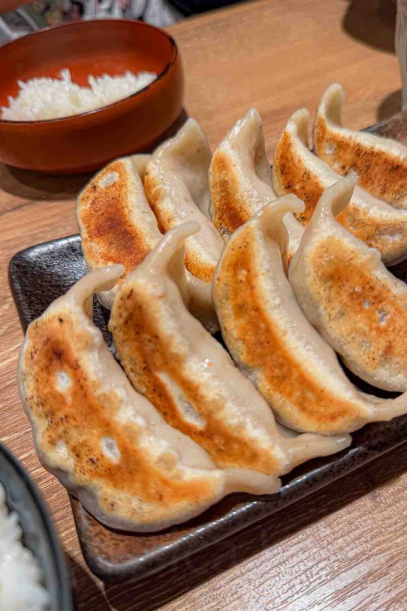 Plate of fresh golden brown gyoza lined up on a rectangular dish with crispy seared bottoms and soft tops. A shareable and kid friendly option when eating in Japan.