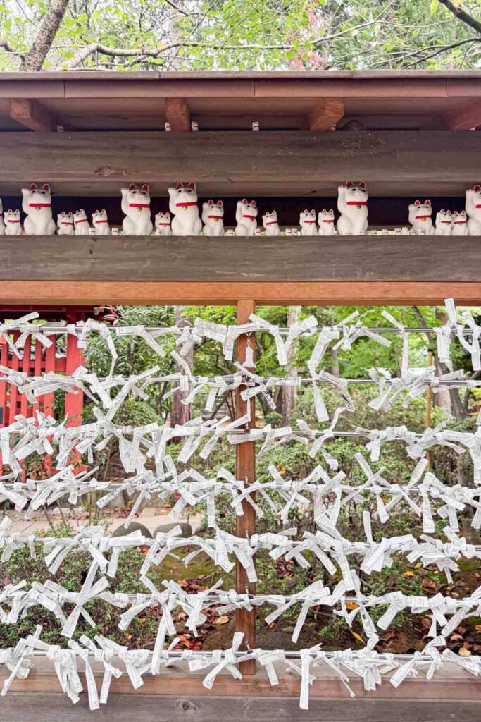 Shrine rack covered with tied white omikuji fortunes beneath a row of small lucky cat statues at Gotokuji lucky cat temple. Temple visits like this add cultural variety to a Japan itinerary with kids.