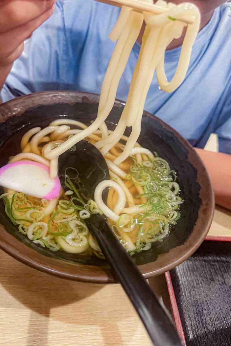 Bowl of simple udon noodle soup with thick noodles in a light broth served at a wooden table. A mild and approachable dish for kids eating in Japan.