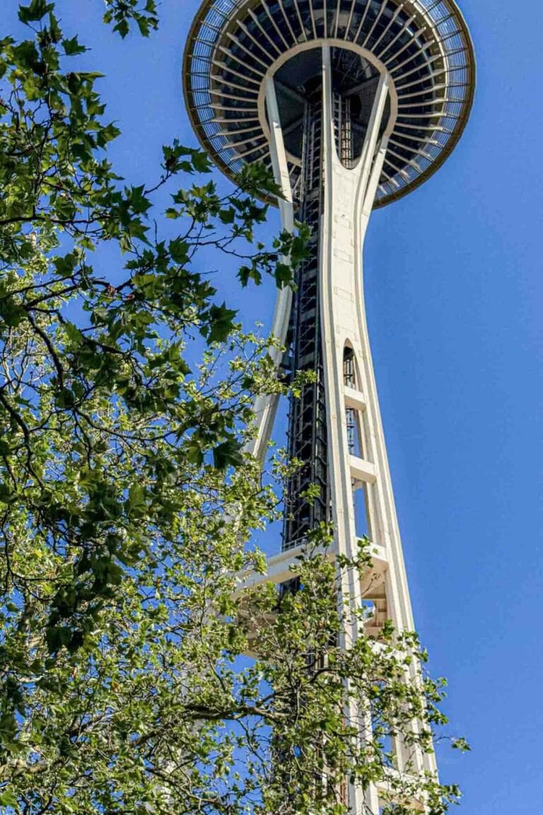 Seattle with Kids: Complete Travel Guide for Families