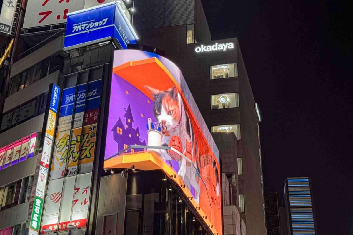 Large digital billboard in Shinjuku Tokyo displaying the famous 3D cat in a Halloween themed animation at night surrounded by bright city signs. Nighttime city attractions like this are part of an evening walk through Shinjuku.