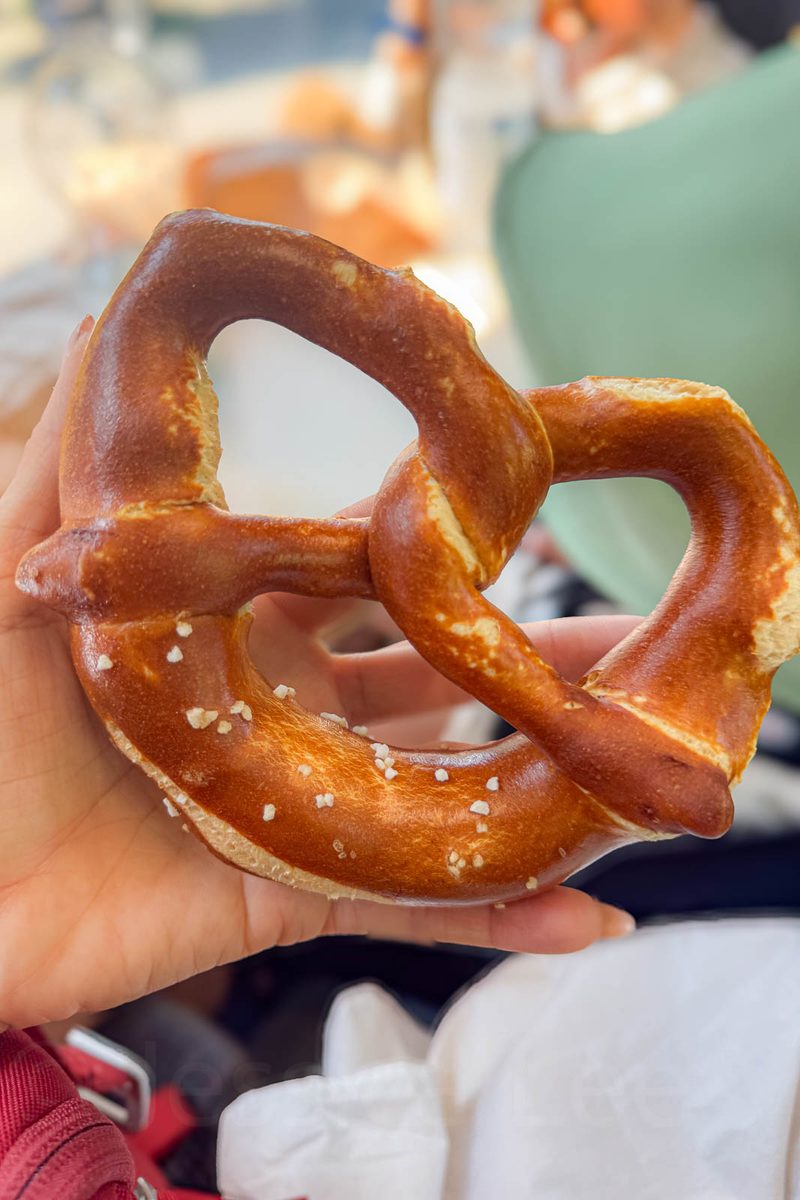 A hand holds a large golden brown Bavarian soft pretzel sprinkled with coarse salt. Pretzels were a favorite snack for the children during their family trip to Munich.